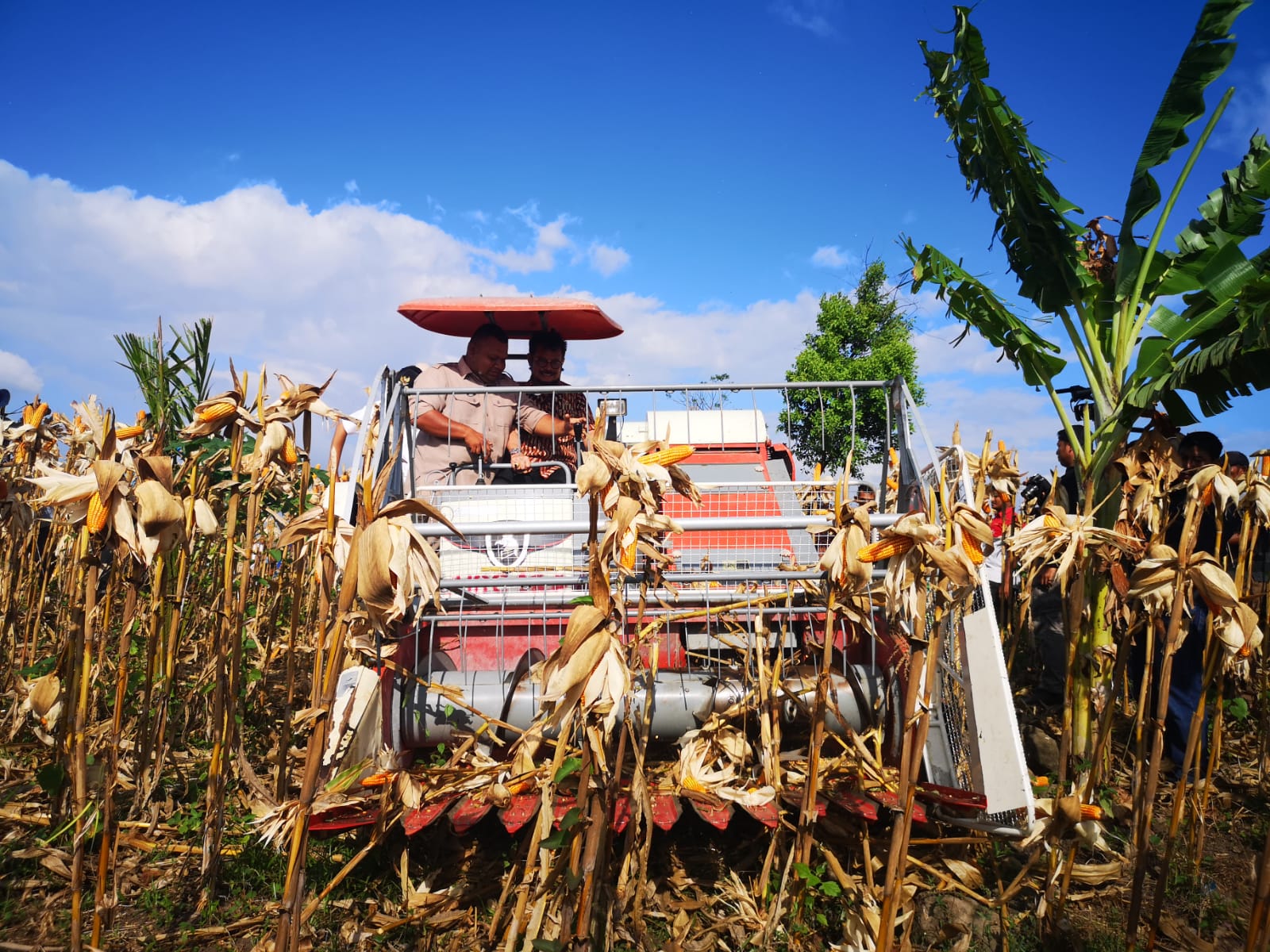 Menteri Syahrul Ajak Petani Jagung Optimalkan Lahan di Bireuen
