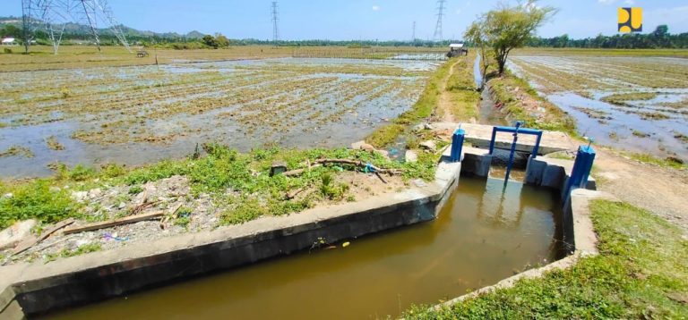 Penyelesaian Pembangunan DI Bendungan Rajui Berikan Peningkatan Hasil Pertanian
