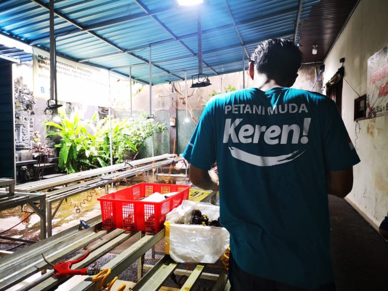 Petani Muda Bali Peroleh Omset Ekspor Hingga 100 M Lewat Market Place Digital