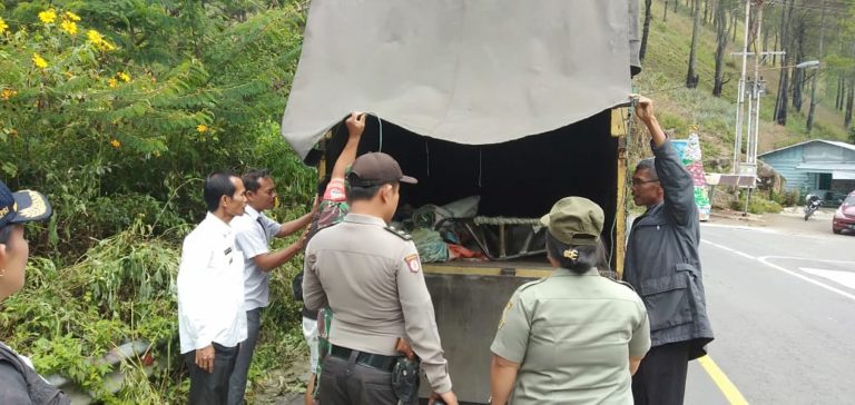 Kementan Minta Pengawasan Lalu Lintas Babi Diperketat Demi Cegah Perluasan ASF