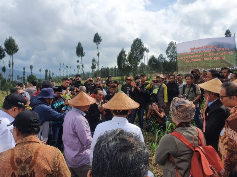 Komisi IV DPR Dukung Temanggung jadi Sentra Terbesar Bawang Putih