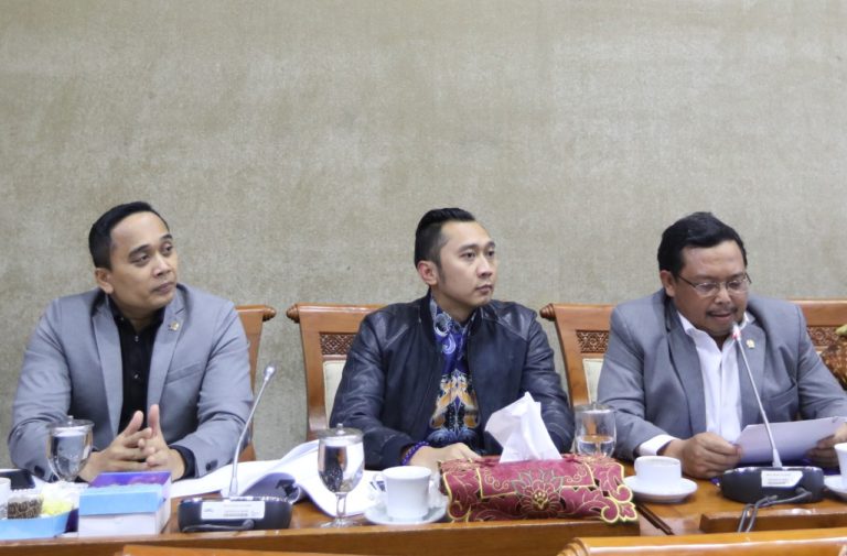Fraksi Demokrat Dukung RUU IA-CEPA, Ibas: Indonesia Harus Realistis