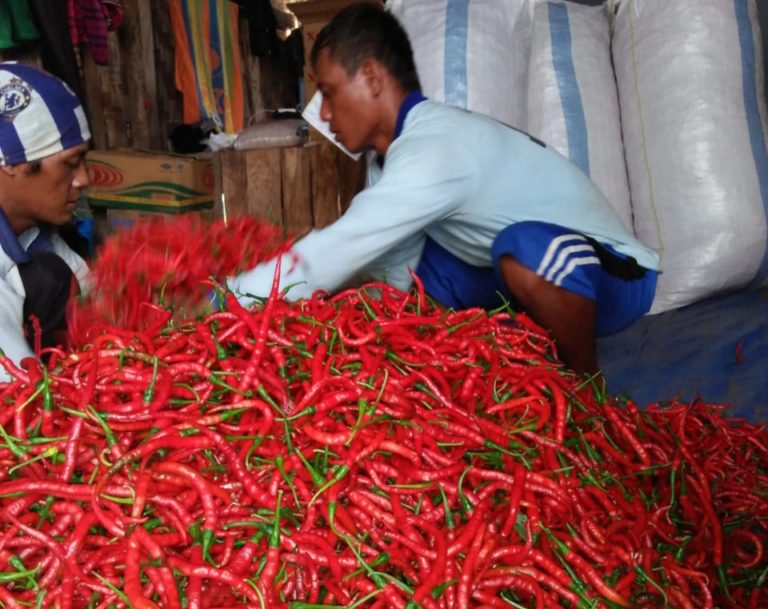 Di Tengah Pandemi Covid-19, Kementan  Pastikan Produksi Cabai Aman