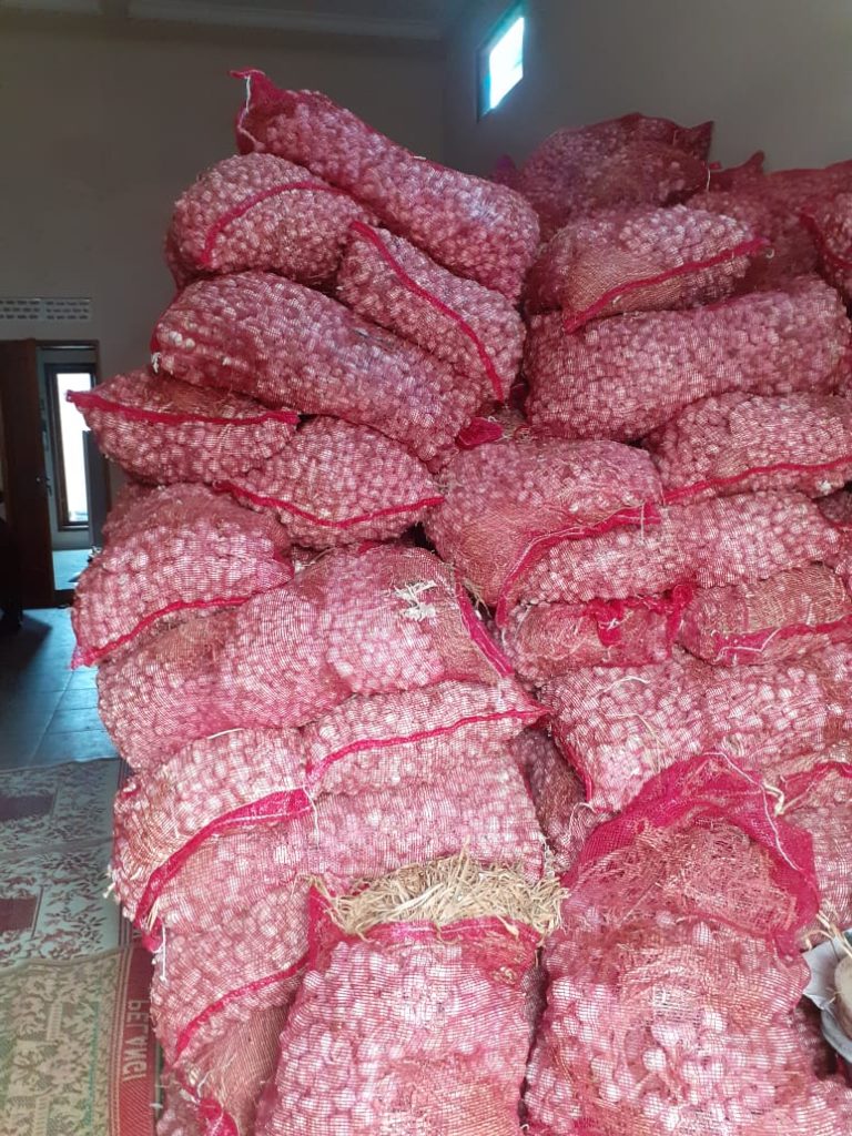 Pusbarindo dukung Kementan tetap mewajibkan Rekomendasi Impor Produk Hortikultura