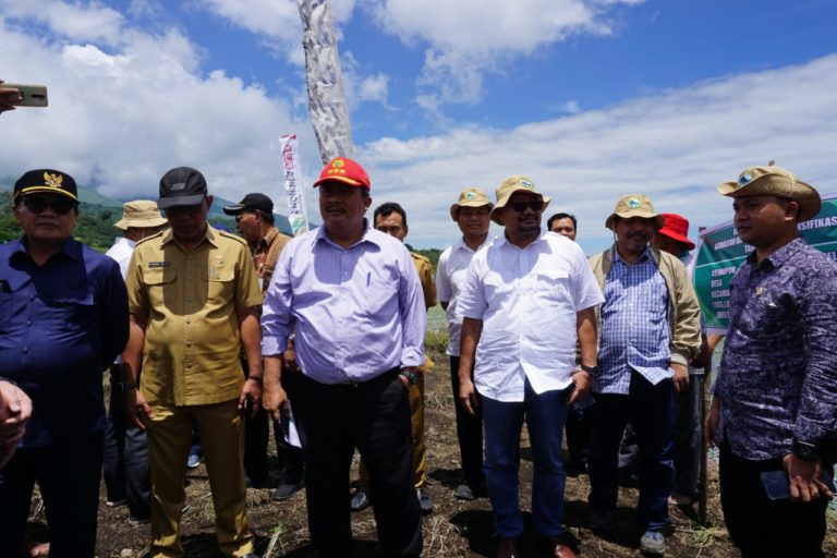 DPR Dukung Kementan Jadikan Sembalun Sentra Benih Bawang Putih