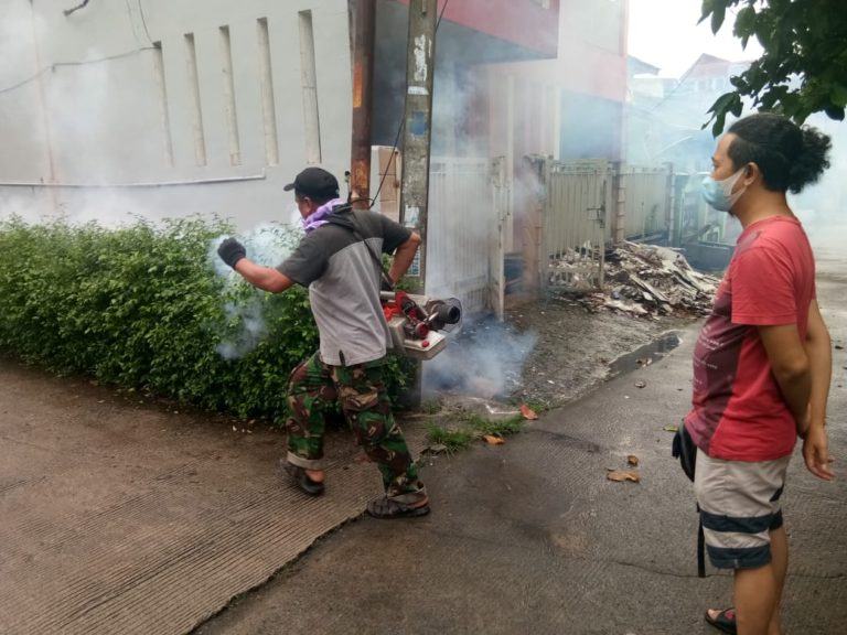 Selain Corona, DBD Juga Bikin Was-Was Warga Depok