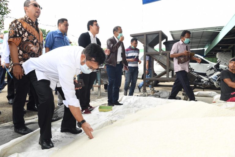 BULOG Diminta Lakukan Persiapan untuk Serap Hasil Panen Raya