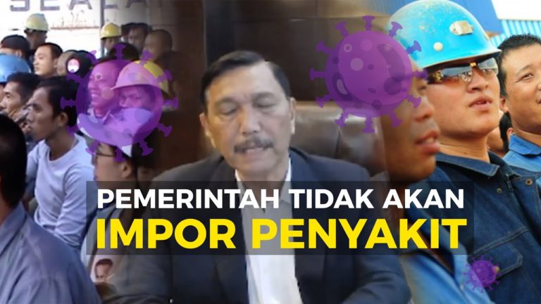 Luhut Pasang Badan untuk 49 TKA China di Kendari