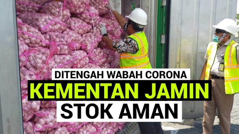 1.500 Ton Bawang Putih Impor dari China Tiba di Indonesia.