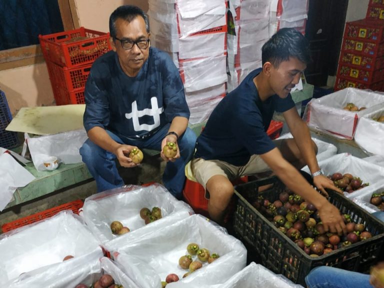 Geliat Ekspor Hortikultura di tengah Pandemi Covid – 19