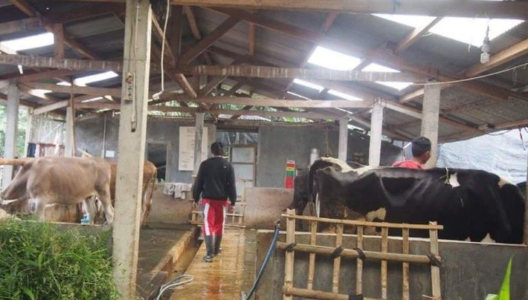 Kementan Beri Bantuan UPPO untuk Petani Gunung Kidul