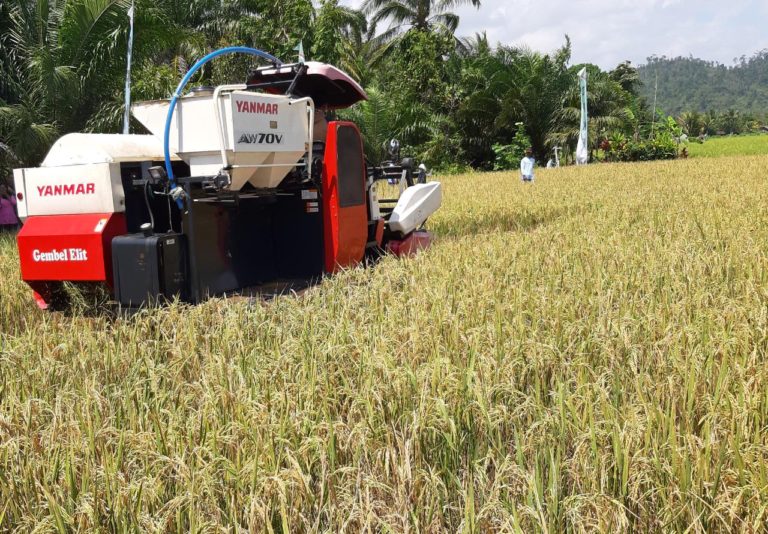 Dinas Pertanian Banten: Stok Beras Aman