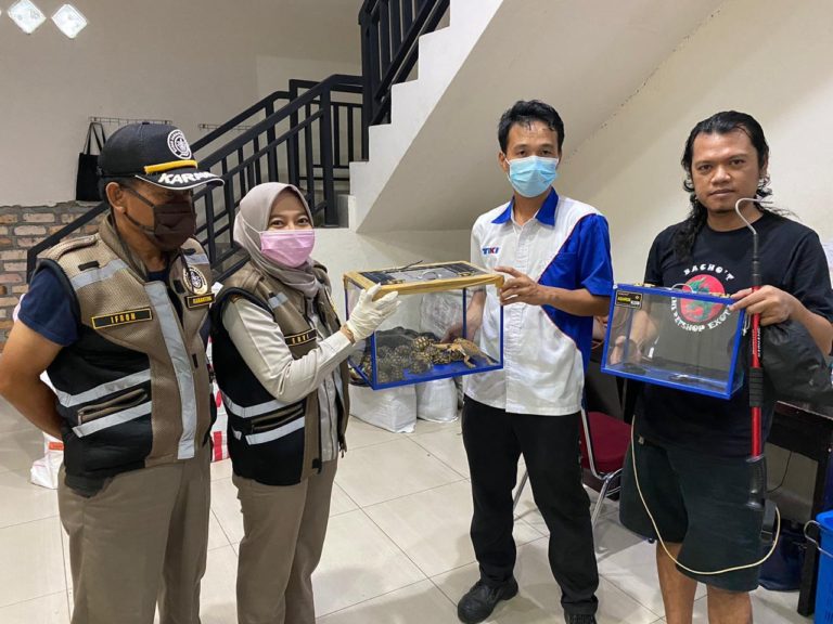 Siaga Covid-19, Karantina Pertanian Amankan Produk Pertanian Ilegal