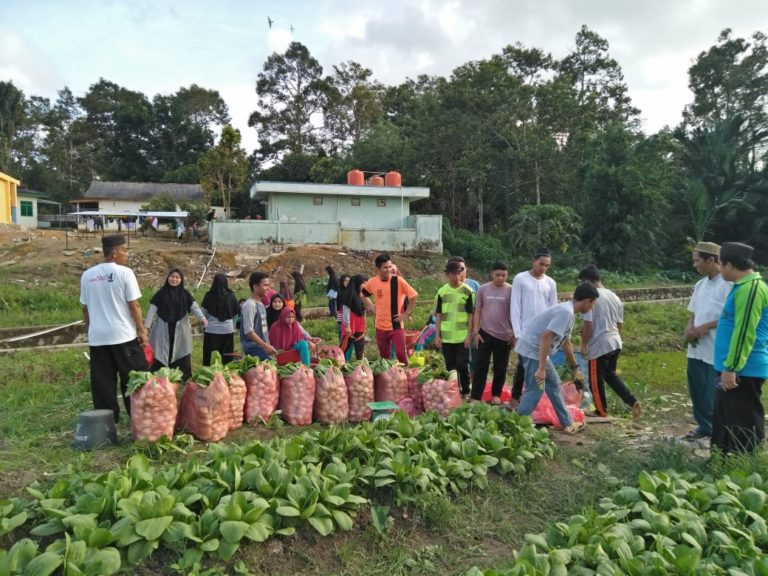 Di Tengah Pandemi Covid-19, Pertanian Masuk Sekolah Terus Beraktifitas