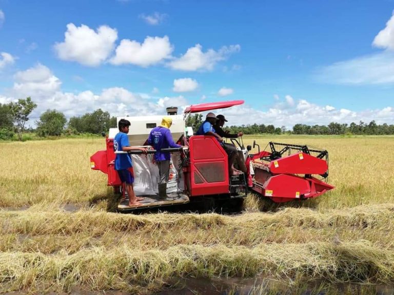Petani Kabupaten Paser Tetap Panen Raya Meski Masa Pandemi Covid-19