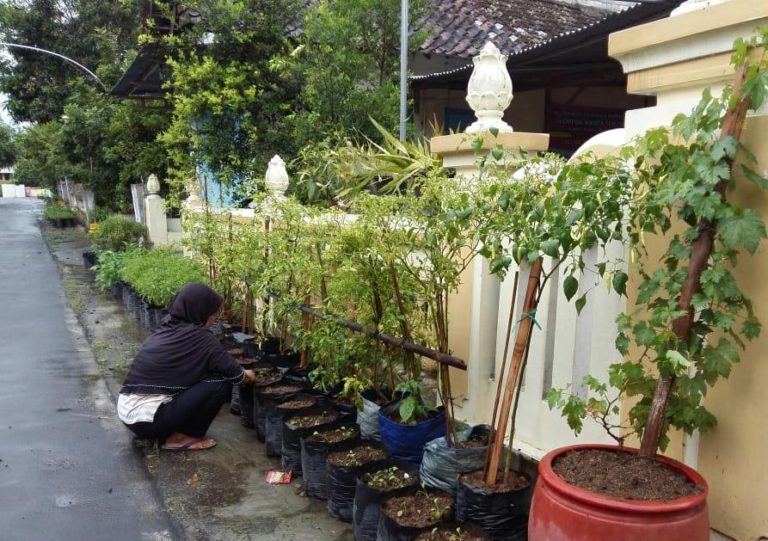 Pemanfaatan Pekarangan untuk Penuhi Kebutuhan Pangan ala KWT di Jateng