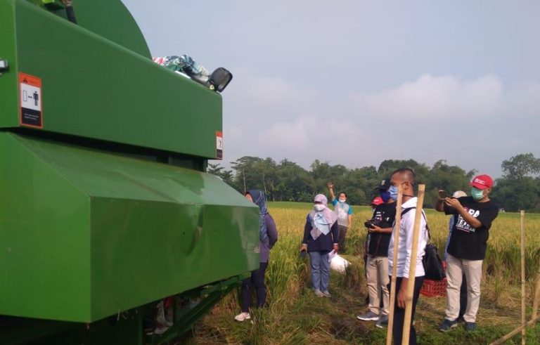 Bantuan Benih Kementan Dongkrak Hasil Produksi Padi Petani Purbalingga