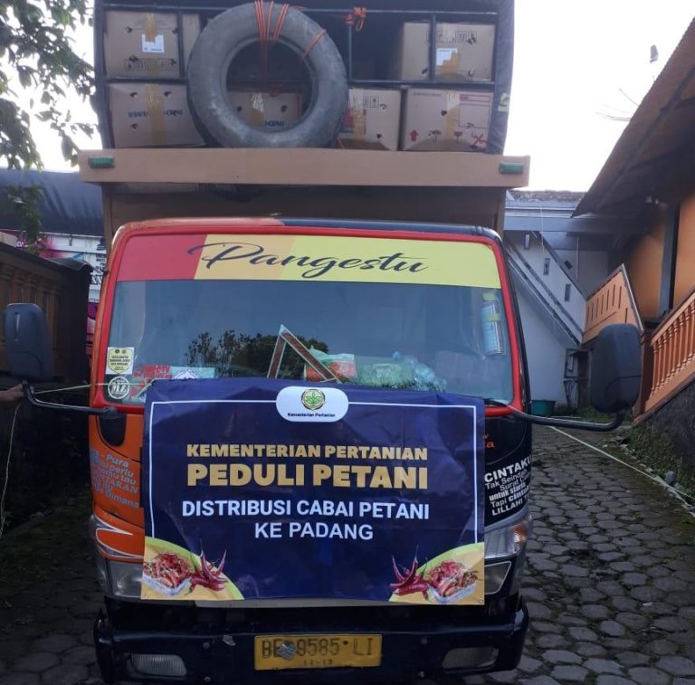 Cabai Melimpah di Jateng, Kementan Bantu Distribusi Antar Wilayah