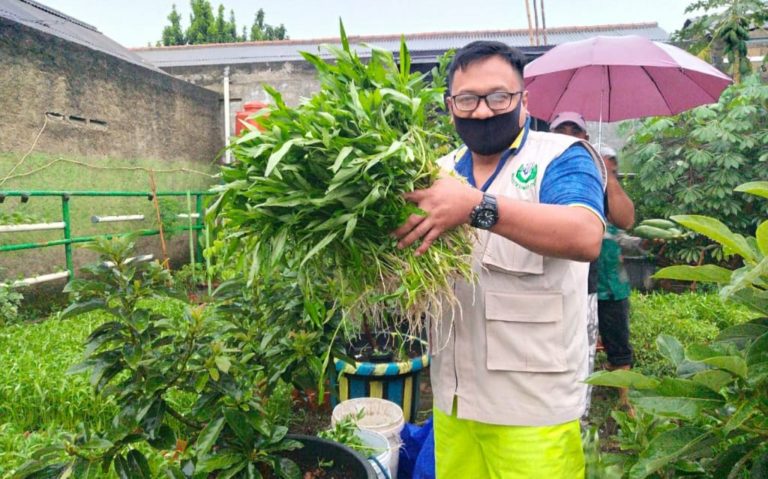 Selama Pandemi, Wakil Wali Kota Depok Ajak Warga Gerakan Menanam Sayur
