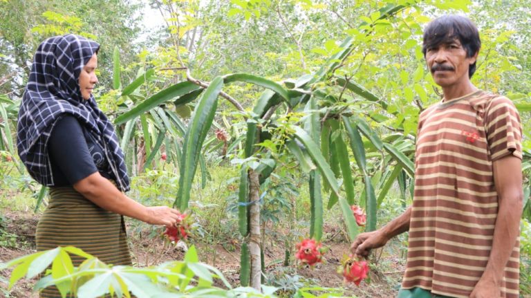 Hadapi Pandemi Corona, Mitra Binaan CSR Perta Arun Gas Tetap Produktif