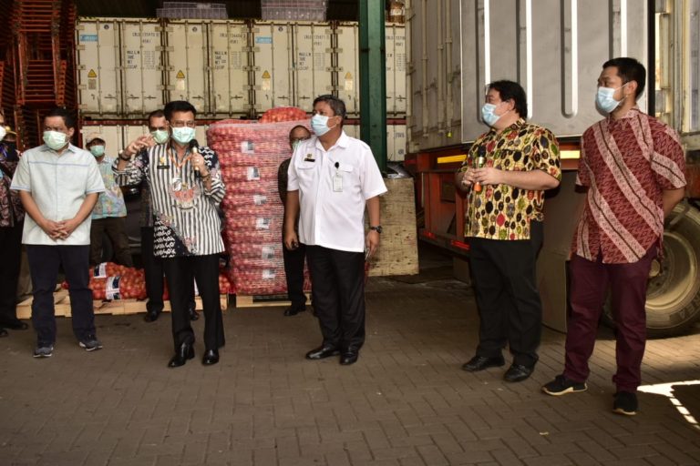 Mentan Cek Ketersediaan Bawang Bombai di Gudang Importir