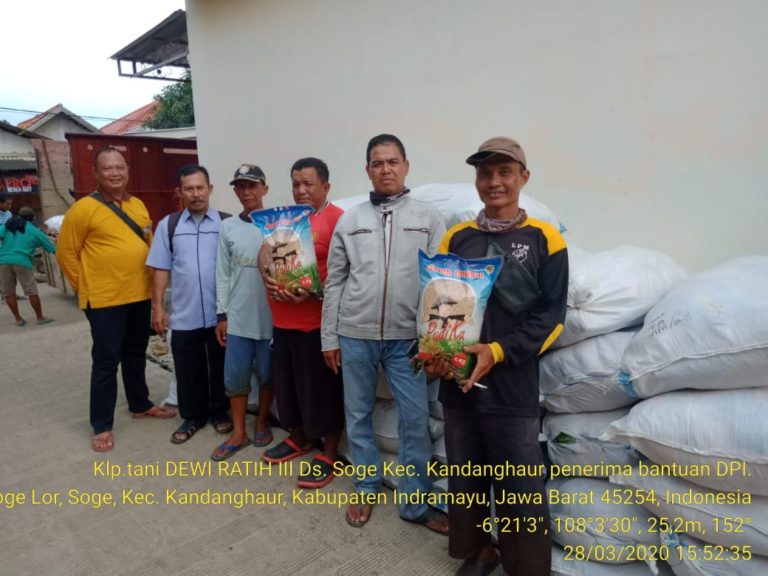 2.708 Hektar Lahan Terdampak Banjir Indramayu Dapat Bantuan Benih Kementan
