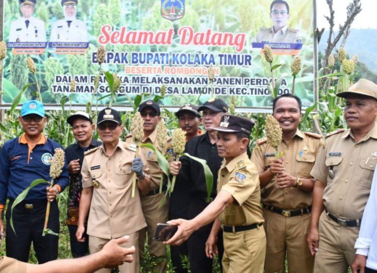 Kolaka Timur Kembangkan Sorgum sebagai Cikal Bakal Penggerak Ekonomi Wilayah