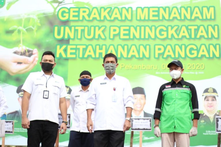 Pandemi Covid-19, Para Kepala Daerah Optimistis Bahan Pangan Cukup