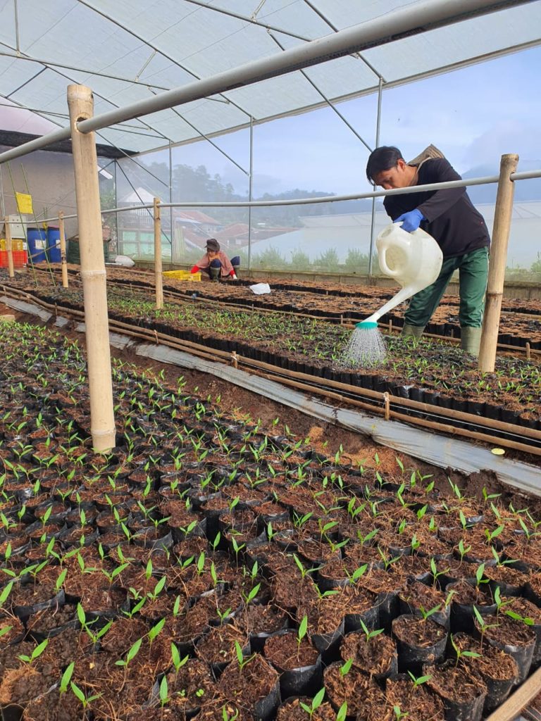 Penjualan Produk Petani Binaan Ponpes Al-Ittifaq Meningkat di Tengah Pandemi Covid – 19