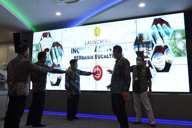 Kementan Launching Antivirus Corona Berbahan Eucalyptus