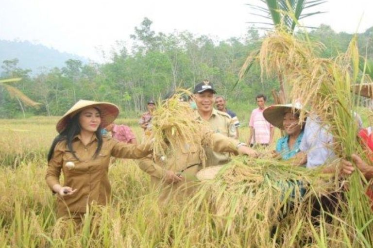 Bupati Landak: Di Masa Pandemi, Ketahanan Pangan Daerah kami Terjaga