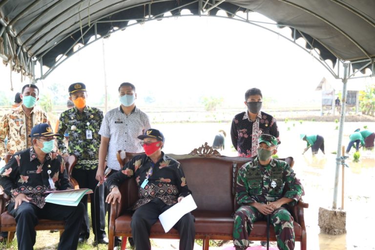 Jadi Sentra Jagung, Bupati Fathul Huda: Tuban Siap Mandiri Benih