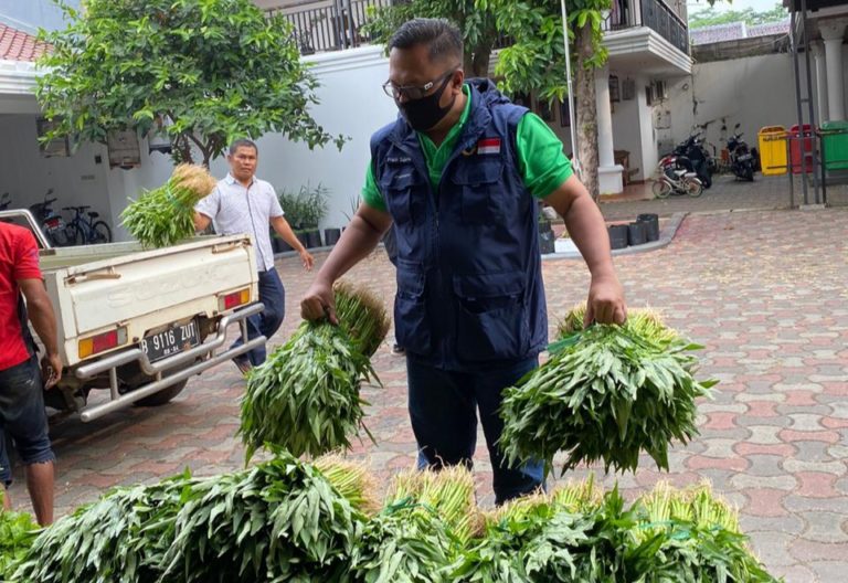 Wakil Walikota Depok Borong Sayuran Hasil Panen Petani dan Dibagikan Gratis