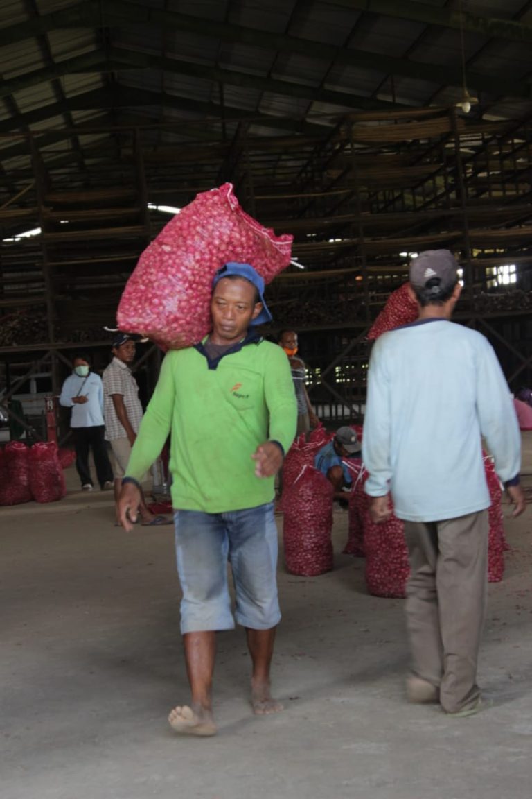 Stabilkan Harga, Kementan Distribusikan Bawang Merah ke Daerah Non-Sentra
