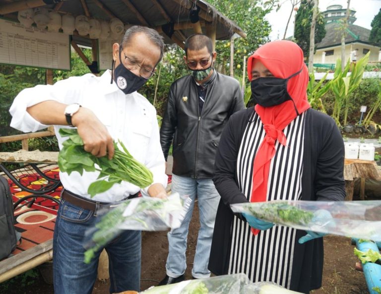 Produk Pekarangan Pangan di Cibodas Dongkrak Pendapatan Petani