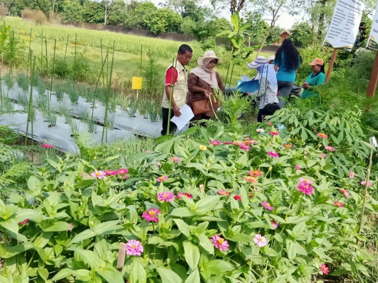 Refugia: Bunga Cantik Alami, Lindungi Pertanian Ramah Lingkungan
