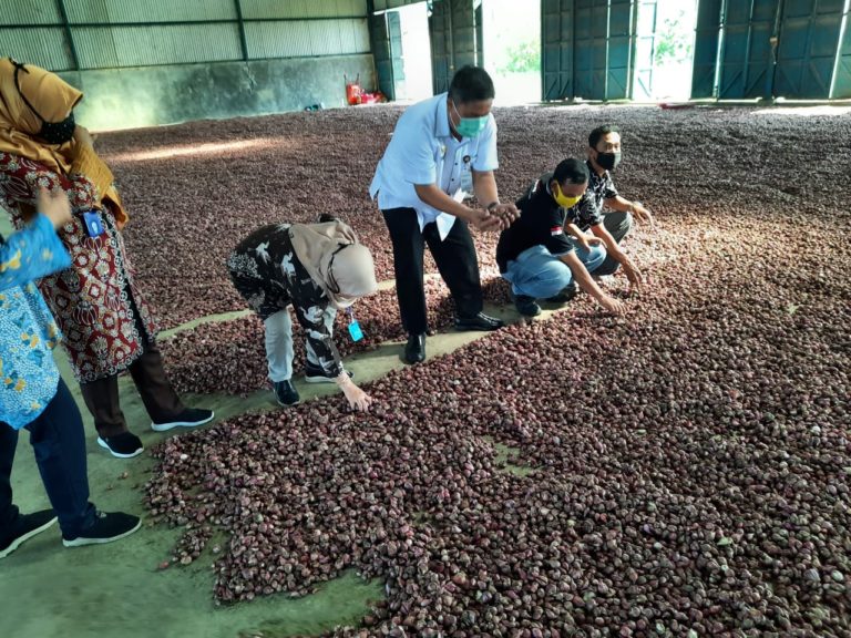 Jelang Lebaran, Stok Bawang Merah Aman