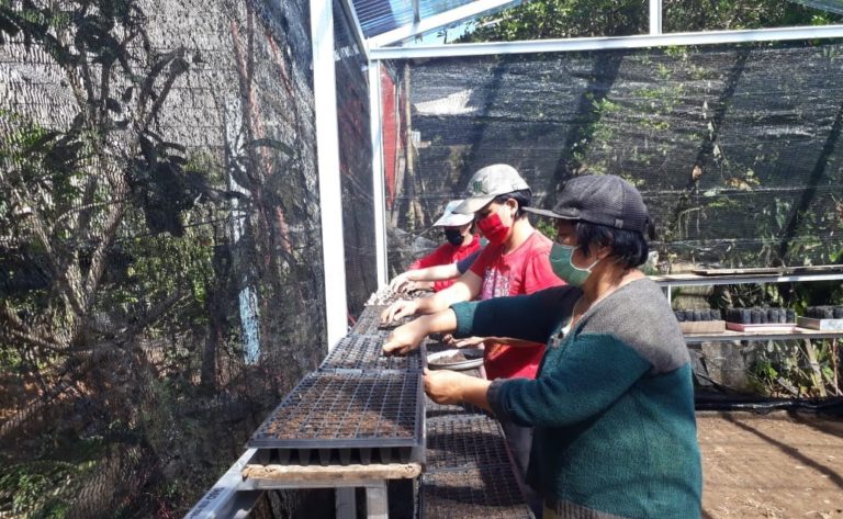 BKP Kementan: Pangan di Musim Kemarau Aman