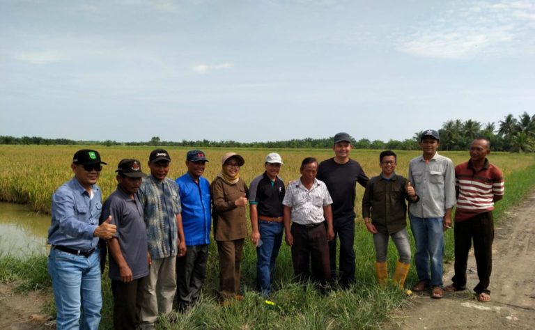 Bupati Rokan Hilir Tingkatkan Serap Gabah , Bantu Masyarakat Terdampak Covid-19