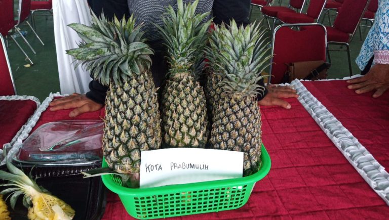 Petani Nenas Prabumulih Kebanjiran Order di Tengah Pandemi Covid 19