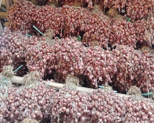 Stabilkan Pasokan, Kementan kembali Subsidi Distribusi Bawang Merah ke Maluku