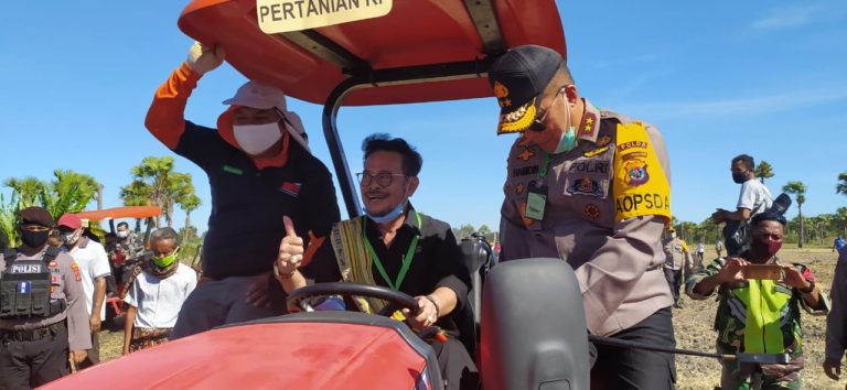 Mentan SYL Kunjungi Jagung NTT, Pastikan Stok Pangan Aman