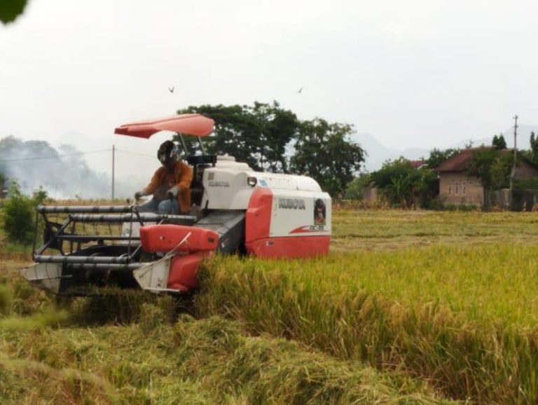 Bupati: Ketersediaan Beras di Banyuasin Surplus