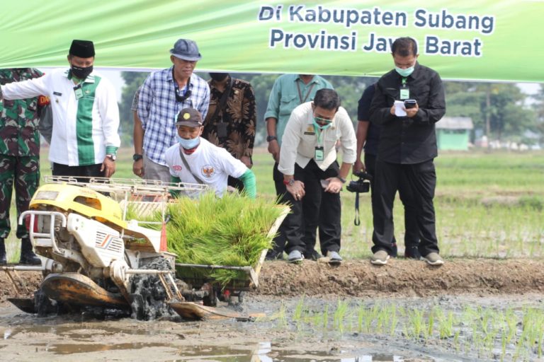 Komisi IV DPR RI Dukung Program Mentan SYL Percepatan Tanam Padi