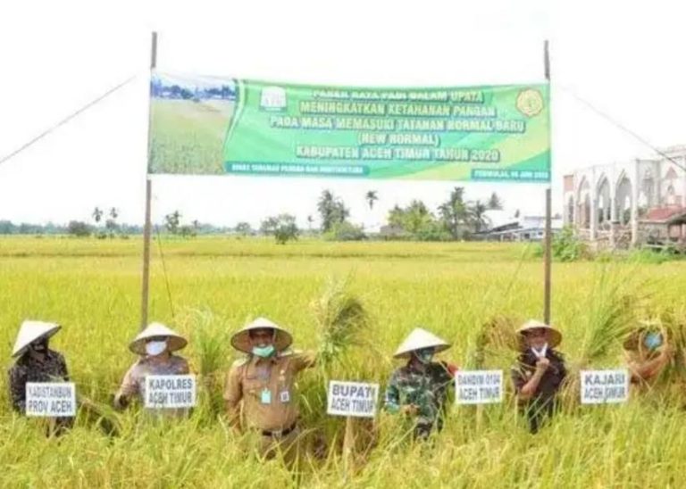Bupati Aceh Timur: Tanam 2-3 Setahun, Pastikan Stok Pangan Aman
