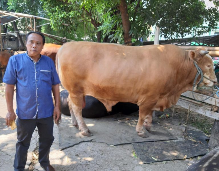 Kementan Keluarkan SE tentang Pelaksanaan Kurban di Situasi Pandemi Covid-19