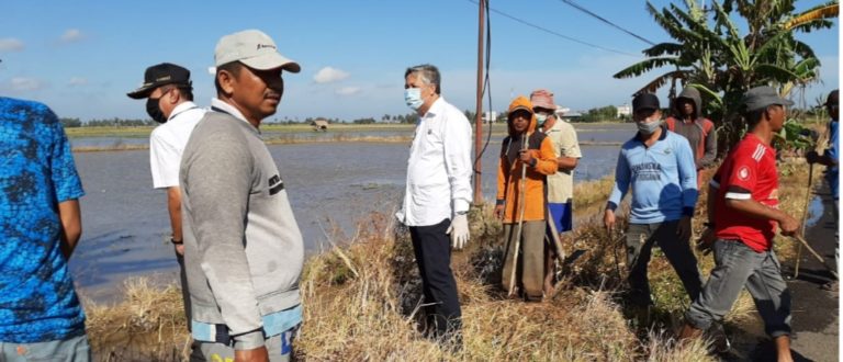 Bupati Pinrang Pimpin Langsung Gerdal Hama Tikus