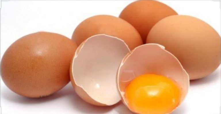 Mengenal Lebih Dekat Telur Infertil