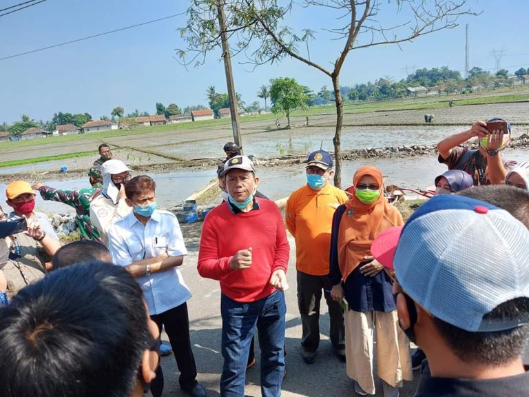 Tak Kenal Libur, Kementan Terus Pantau Percepatan Tanam di Cianjur
