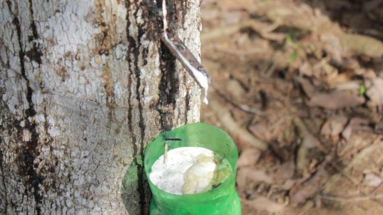Pertahankan Harga Karet, Pemerintah Dorong Serapan Dalam Negeri